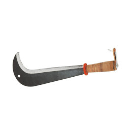 Serpe suisse, 43 cm