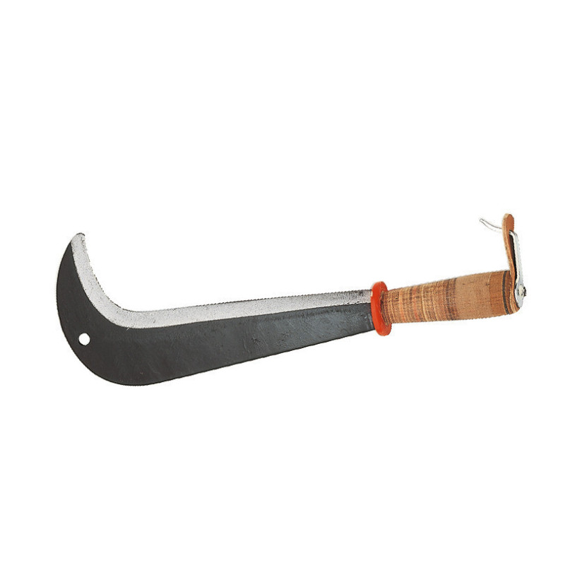 Serpe suisse, 43 cm