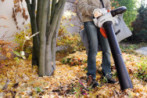 SH 56 - Aspirateur de feuilles thermique